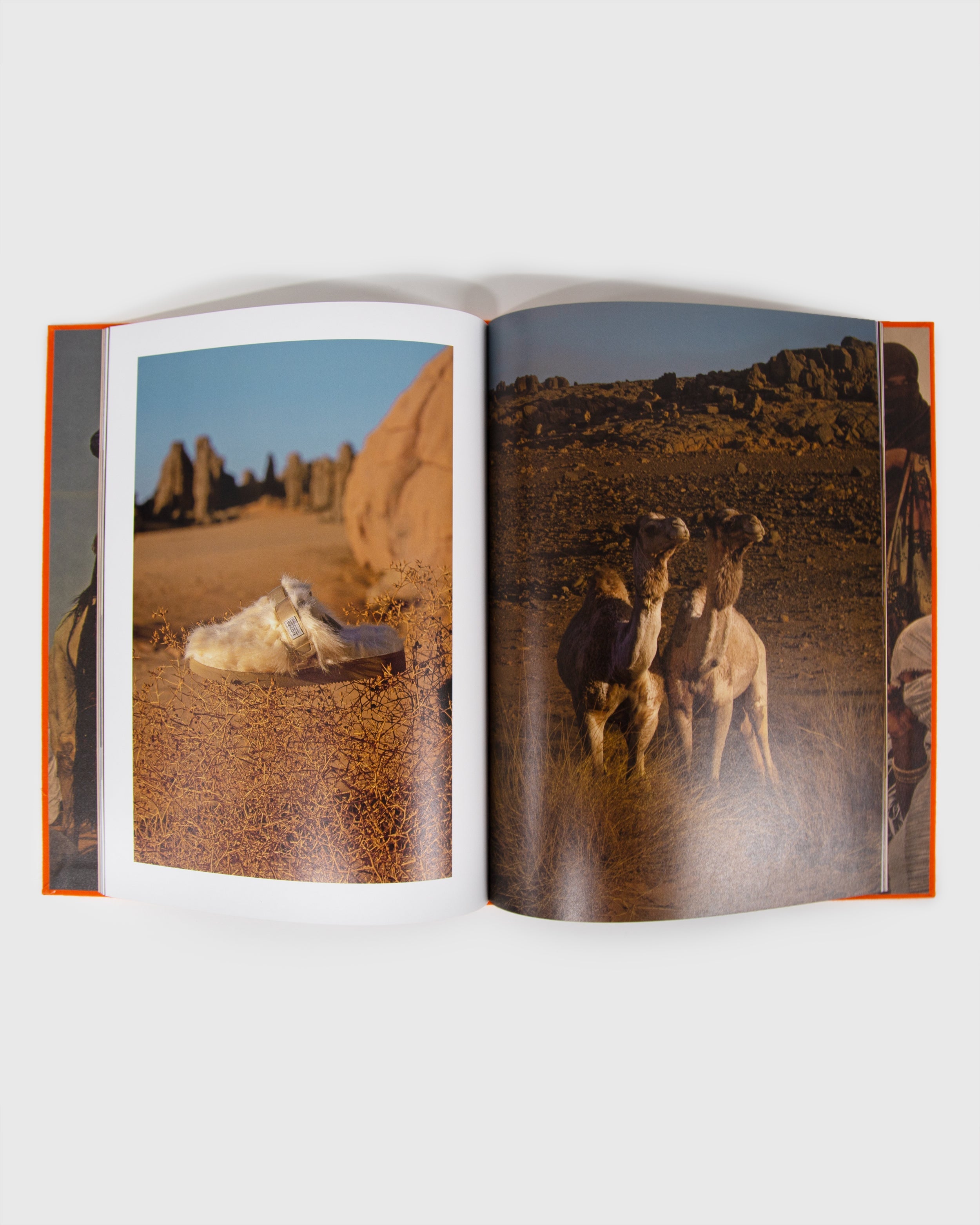 TUAREG the Nomadic Inhabitants (OG-AC-002)