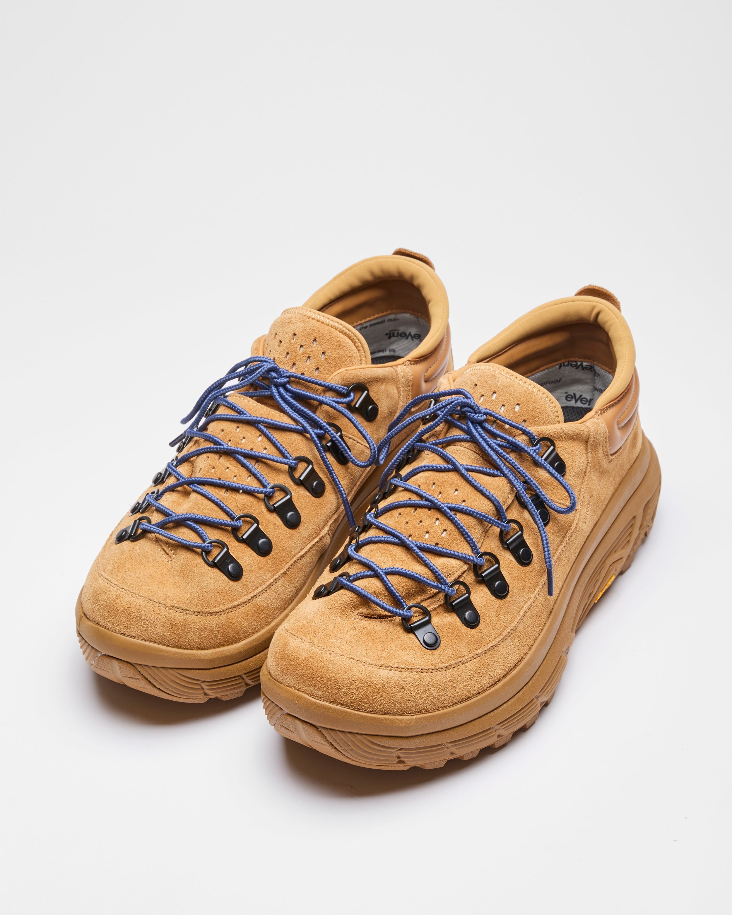 BEETLE-ev-LO (OG-424ev)